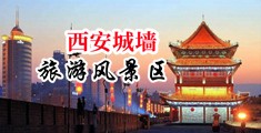 大美女大美女大男人大男人日骚屄视频中国陕西-西安城墙旅游风景区